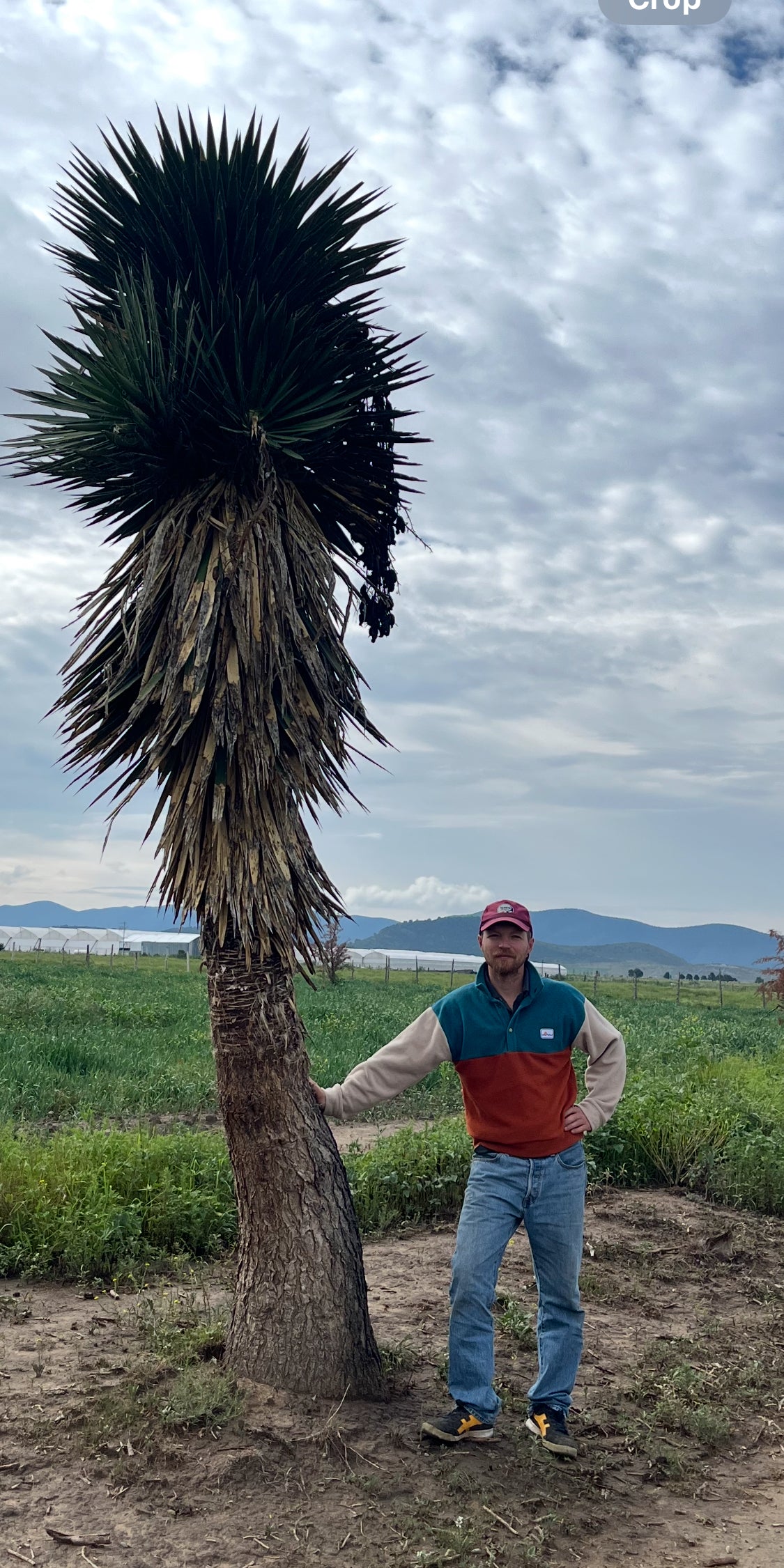 Adult Sweatshirt with buttons