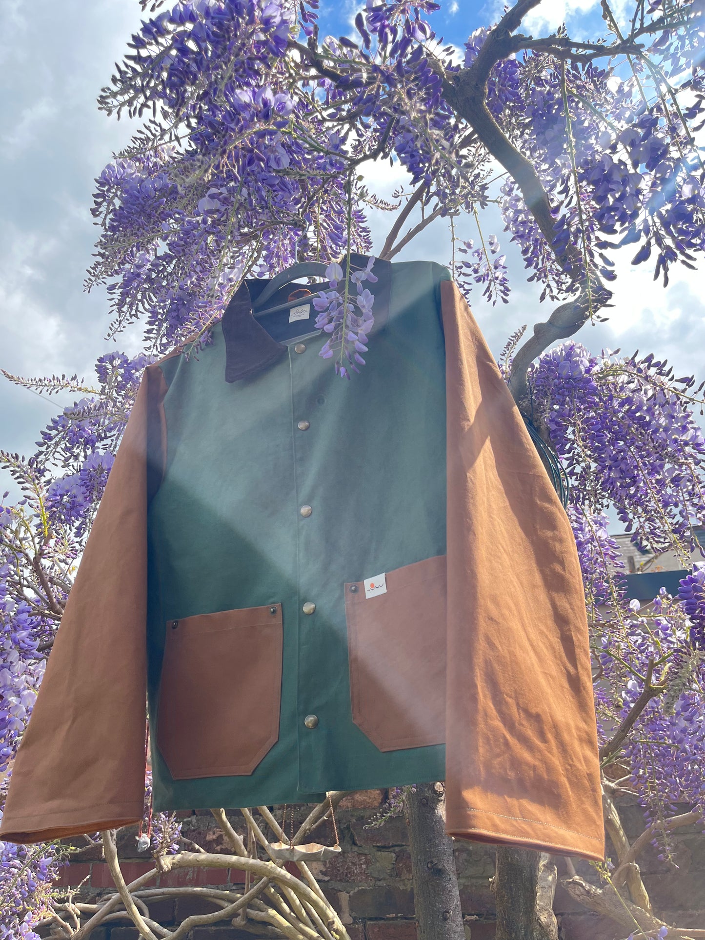Jacket (Large)