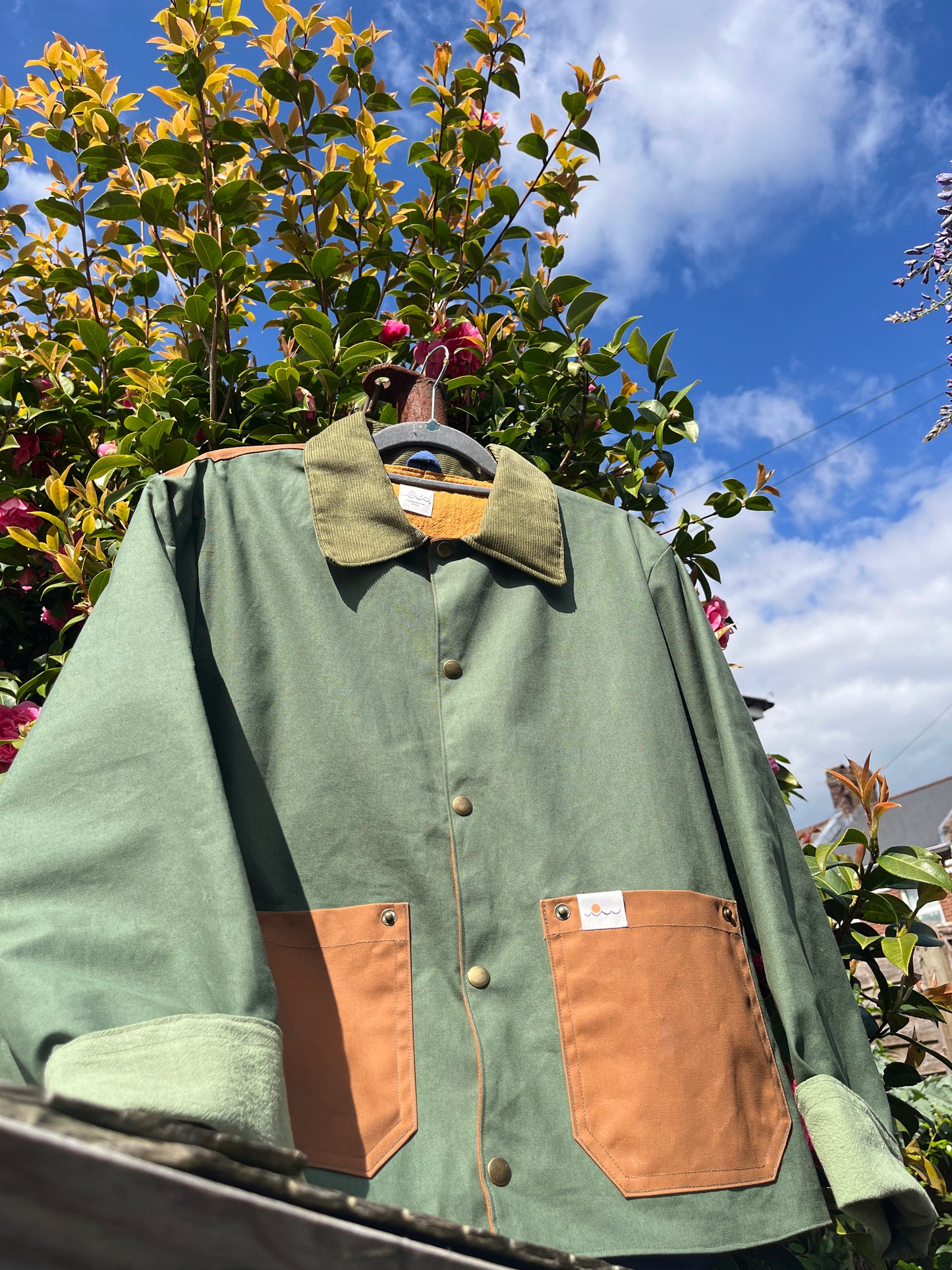 Jacket (Medium)